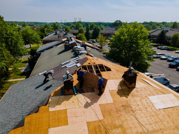 Trusted Storm Damage Roof Repair service in Willow, AK - Brentwood Metal Roofing